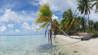 Seychellen Urlaub 2021 Reise Highlights kurz Doku  die wichtigsten Sehenswürdigkeiten in Paradies 🌴 [upl. by Eeclehc844]