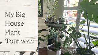 HOUSE PLANT Tour 2022 “See All my Plant Babies” [upl. by Ede]