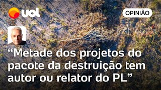 PL de Bolsonaro e PP de Lira comandam pacote da destruição ambiental no Congresso  Toledo [upl. by Auliffe]