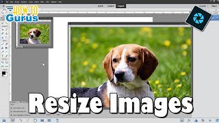 Resize Images the Right Way in Photoshop Elements [upl. by Bara765]