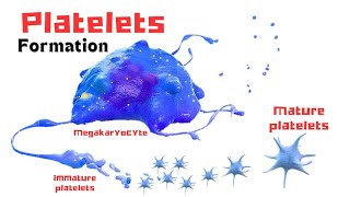 PLATELETS Formation [upl. by Munro]