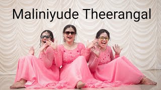 Maliniyude Theerangal  remix  sway with manju [upl. by Ecinad]