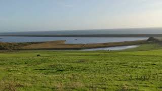 West Fleet nature reserve near Abbotsbury Dorset [upl. by Amsaj]