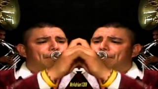 Valentin Elizalde El pavido navido [upl. by Aleusnoc]