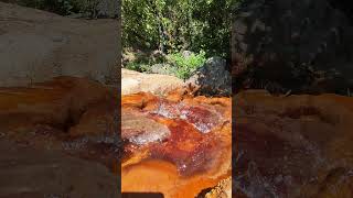 Sounds Of Water  Red Water nature water soundofwater asmr redwater [upl. by Barney]