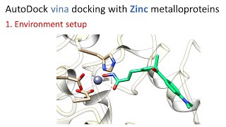 1 Environment setup  AutoDock vina docking with Zinc metalloproteins [upl. by Georgianna]