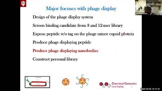 RNA and DNA Phage Display Systems and Their Application in the CGCF [upl. by Yzzo]