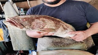 Hamour fish cutting 💥 power fish cutting fish cutting video viral fish cutting video 🦐 [upl. by Yttak447]