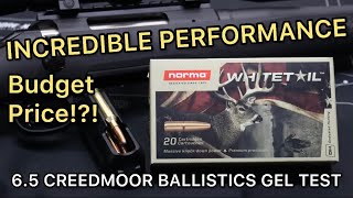 KILLS DEER CHEAP 65 Creedmoor Norma Whitetail 140gr Ammo Test [upl. by Sidon]