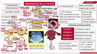 Causas de Hemorragia en el Embarazo [upl. by Ninaj]