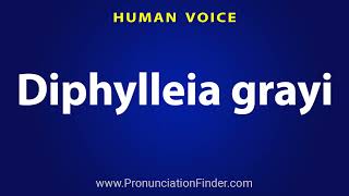 How To Pronounce Diphylleia grayi [upl. by Nnylav]