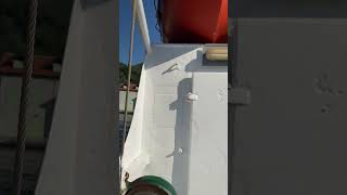 LepetaneKamenari Ferry yolculuğu part1 kotor montenegro tivat lepetaneferry [upl. by Landing722]