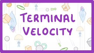 GCSE Physics  Terminal Velocity 55 [upl. by Adalard2]