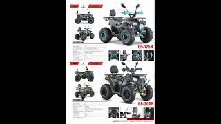 China Motorcycle Export Products Recommended OffRoadcfmoto motop voge QJMOTOR [upl. by Esilanna]