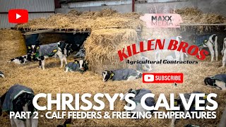 Killen Bros  Chrissy’s Calves  Part 2  Calf Feeders amp Freezing Temperatures [upl. by Etnaik]