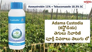 Adama Custodia అడామా కస్టోడియా Fungicide in Telugu  Software Engineer Farming [upl. by Burdelle]