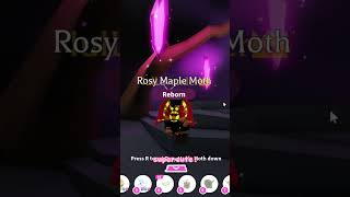 ˚♡ Making a NEON Rosy Maple Leaf Moth   garden egg pet   Adopt me roblox adoptme [upl. by Magdala]