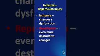 Shorts  117 Ischemia Reperfusion Injury  What is it and what tissues are affected [upl. by Alwin]