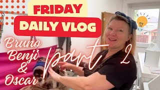 DAILY VLOG  dog grooming Cavalier Labradoodle shihtzu [upl. by Ybab]