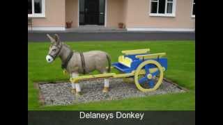 Delaneys Donkey [upl. by Pet982]