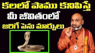 కలలో పాము కనిపిస్తే ఏమవుతుంది  Snake In Dream Meaning  Nanaji Patnaik  Bhakti9am Telugu [upl. by Odysseus]