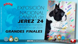 Exposiciones Nacional e Internacional Canina  Jerez 2024 [upl. by Uta]