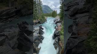 kootenai National park Water falls banff alberta nature canada [upl. by Ennairb]