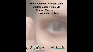 Eye Movement Desensitization and Reprocessing EMDR Therapy Overview  CEU Webinar 15 hrs [upl. by Frasch]