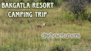 Bakgatla Resort Camping Trip  Pilanesberg National Park [upl. by Adlay]