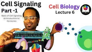 Cell Signaling and Hormone Introduction  Part 1  CSIR NET  DBT  GATE  ICMR NET [upl. by Domel286]