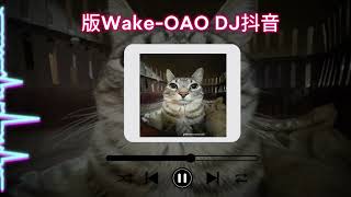 Remix hot douyin Wake  OAO DJ抖音 [upl. by Pietje628]