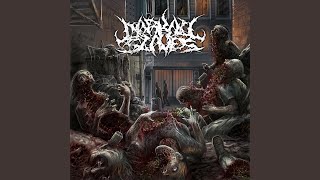 Filthy Carcass Dissolution [upl. by Eecak]