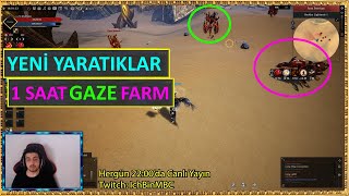 1 Saat Gaze Branch Rise Online Farm 2024 [upl. by Adim]