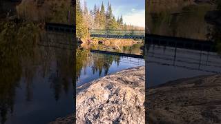 Randonnée relaxante près de SaintSauveur Laurentides Québec  Parc de la rivière Doncaster [upl. by Cassella]