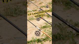 quotFiyatPerformans Canavarı 3 LRF Kamışıquot fishing carpfishing lrf youtubeshortsfishingtips [upl. by Ordnasela]