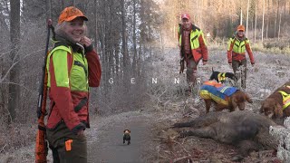 Trailer – Drückjagd mit der LohmannMeute – Zwischen Irish Settern und Dackeln – die ersten Minuten [upl. by Ardnuaek625]