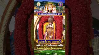 Surya Prabha vahanam  Srivari Annual Brahmotsavam 2024  10102024  SVBC2 Tamil  SVBC TTD [upl. by Labana]