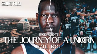 The Journey of a Unicorn  Bol Bol  Short Film [upl. by Atelahs770]