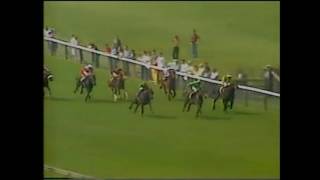 1982 July Stakes Newmarket [upl. by Yanehc]