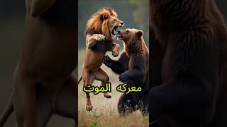 دب ضخم ضد اسد شرس ؟ 😫 facts مغامرة اكسبلور [upl. by Tamar675]