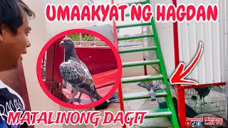 EP641  ANG TINDE NG BAGUNG DAGIT MAY TALENT [upl. by Raf]