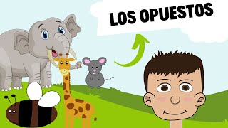 ¡Aprende los Opuestos Cantando 🎶 Canciones Infantiles Divertidas y Educativas para Niños [upl. by Assenav771]