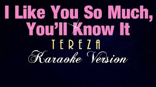 I LIKE YOU SO MUCH YOULL KNOW IT  Tereza KARAOKE VERSION 我多喜欢你，你会知道  OST A Love So Beautiful [upl. by Knighton]