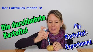 Forsche mit uns Ein KartoffelExperiment die durchbohrte Kartoffel [upl. by Derfniw]