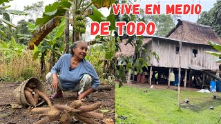 Viven en MEDIO DE LA SELVA en su casita de MADERA y son MUY FELICES 🛖🌳Josué y Elie [upl. by Edmee73]