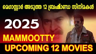 Mammootty Upcoming 12 Big Budget MoviesMAMMOOTTY UPCOMING 12 PROJECTS 2025 [upl. by Aimehs]