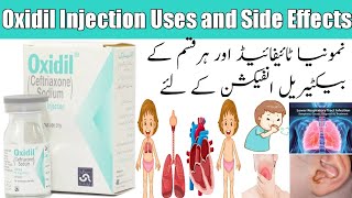 Oxidil Injection 250 mg Uses and side effects in Urdu Hindi Ceftriaxone 250 mg Injection benefits [upl. by Lativa]