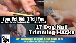 17 Low Cost Easy to Implement Dog Nail Trimming Hacks Your Vet Didnt Tell You [upl. by Nevlin]