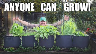 5 Easiest Crops For Beginner Gardeners [upl. by Kamerman]