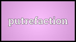 Putrefaction Meaning [upl. by Derriey38]